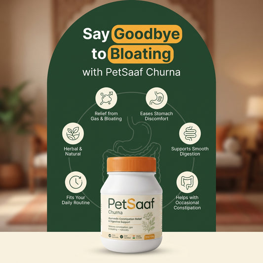 Fast Flow – Ayurvedic Constipation Relief & Digestive Detox Powder (100g + 20g)